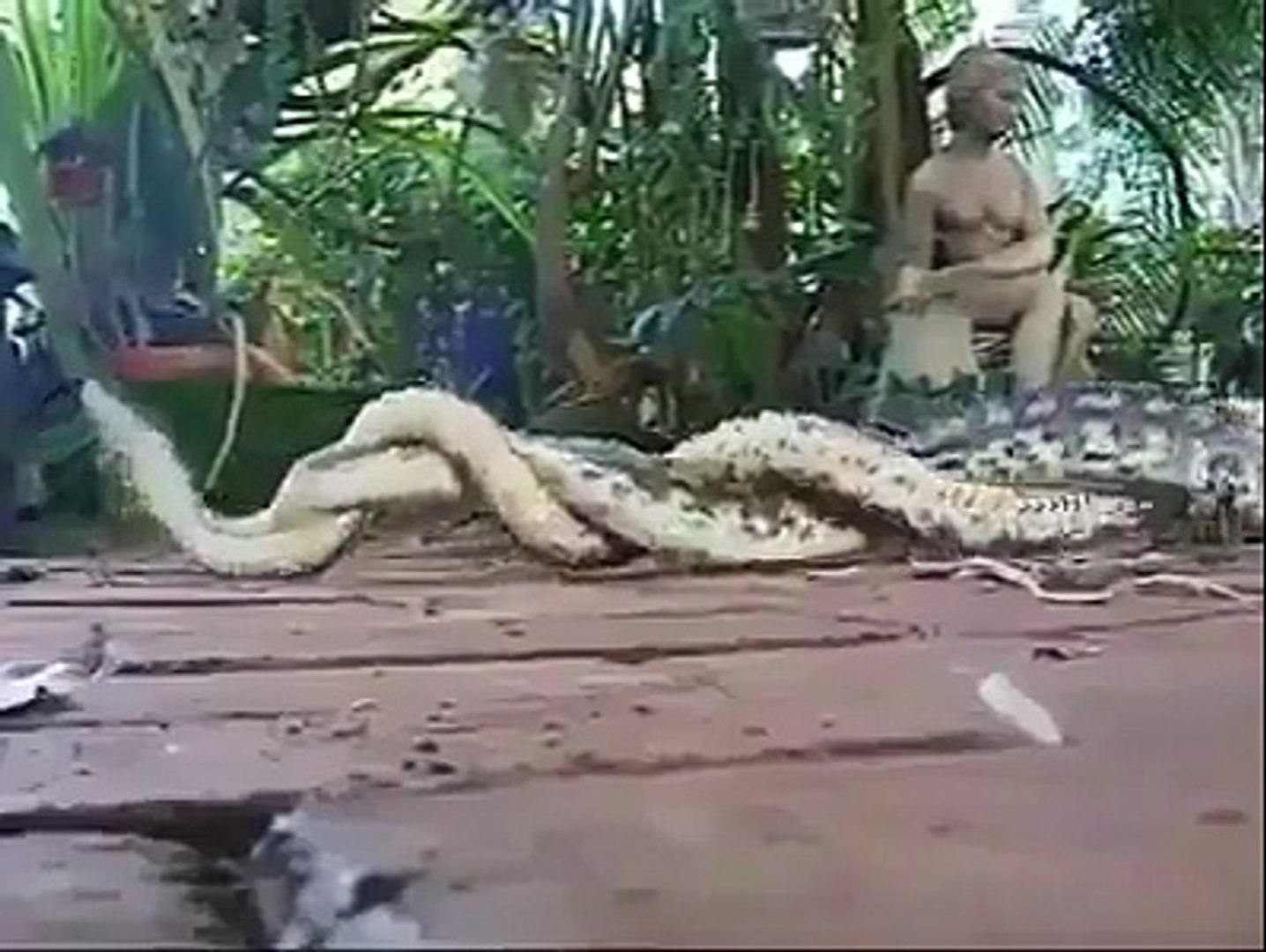 ⁣snake sex