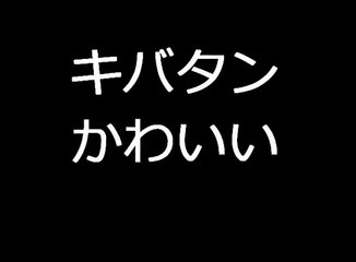 キバタン　Sulphur-crested cockatoo