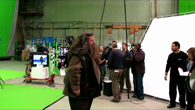 _Harry Potter and the Deathly Hallows - Part 2__ It All Ends