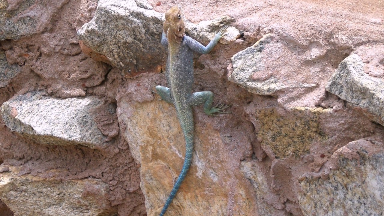 Tchaikovsky A Nursery tale Children's Album op.39 no.19 Piano Igor Galenkov