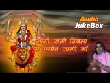 Shyam Paliwal Bhajan | Jagi Jagi Diwala Ri Jot | Audio Jukebox | Rajasthani Mataji Bhajan
