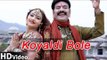 2014 Latest Marwadi Bhajan | Chittorghad Ra Qila Upar Koyaldi Bole | Jagdamba Maa Song