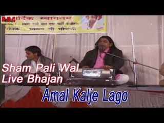 AMAL KALJE LAGO - RAJASTHANI LIVE PROGRAM 2014 | Shyam Paliwal
