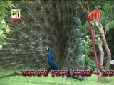 Paidal Yatra Mein Chali Re Tok Jila Ki | Marwadi Song | Rajasthani FULL Devotional Video Song