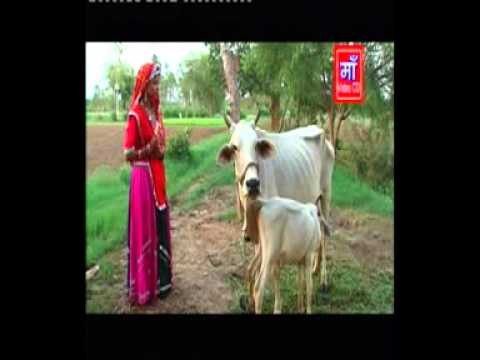 Thaari Bari Baari Manma | Krishan Bhajan | Rajasthani New Devotional Video Song