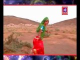 Amalido Baga Main Jhula Jhule | Rajasthani Lok Geet | Desi Dance Video