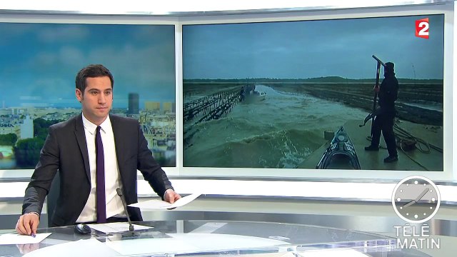 Chasse aux voleurs d’huîtres