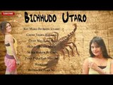 Bichhudo Utaro | Rajasthani New Songs 2014 | Marwadi Hits | Non Stop Audio Songs