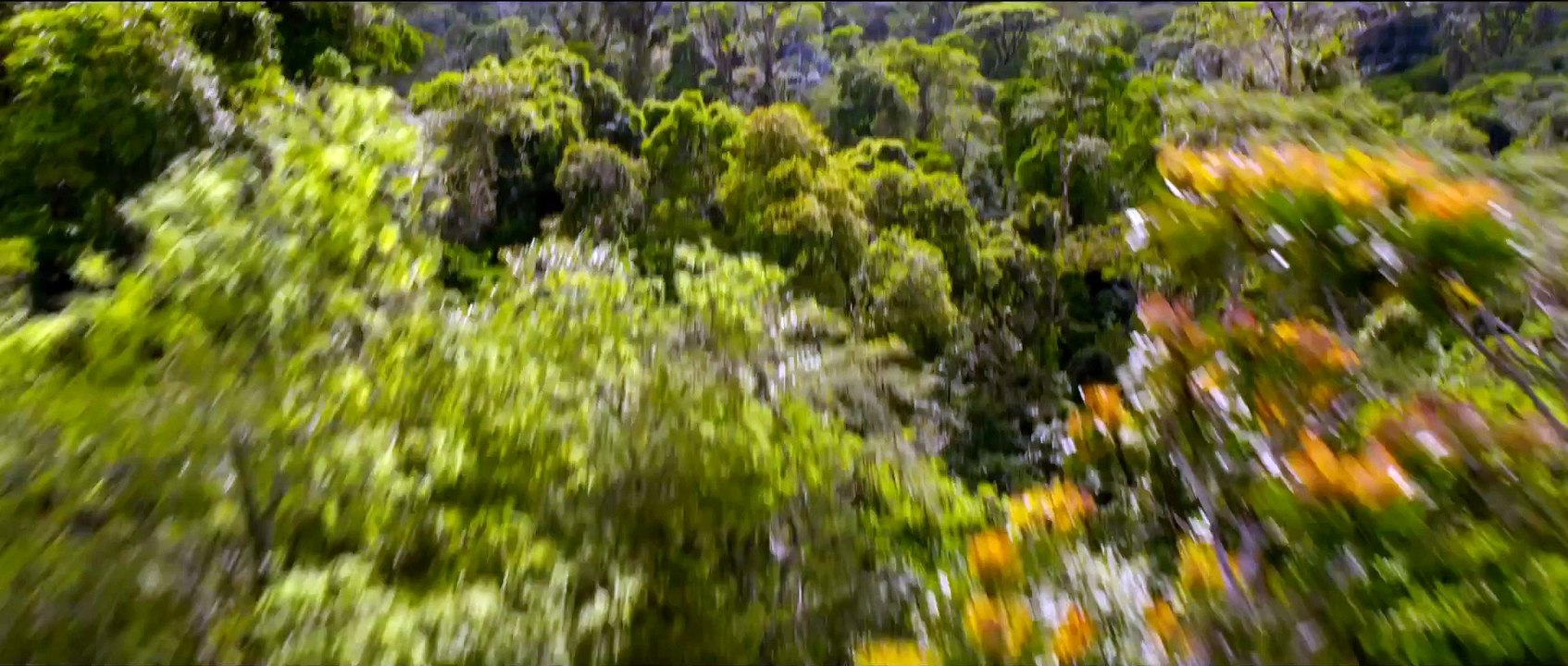 After Earth Official Trailer - On Blu-ray™ and Digital