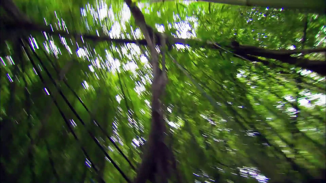 Alvin and the Chipmunks _ Chipwrecked _ Featurette HD