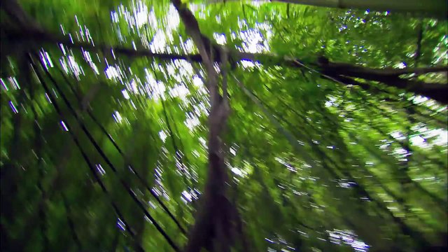 Alvin and the Chipmunks _ Chipwrecked _ Featurette HD