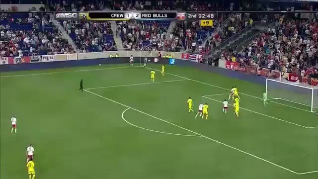 Thierry Henry Top 10 Goals for New York RB