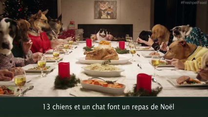 13 chiens et un chat font un repas de Noël comme des humains !