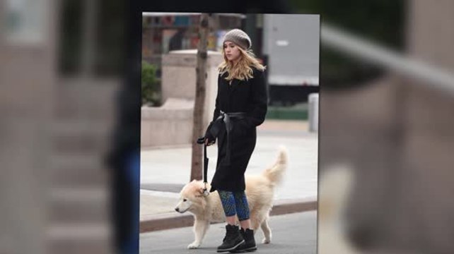 Supermodel Suki Waterhouse Takes Bradley Coopers Dog For And Early Morning Stroll