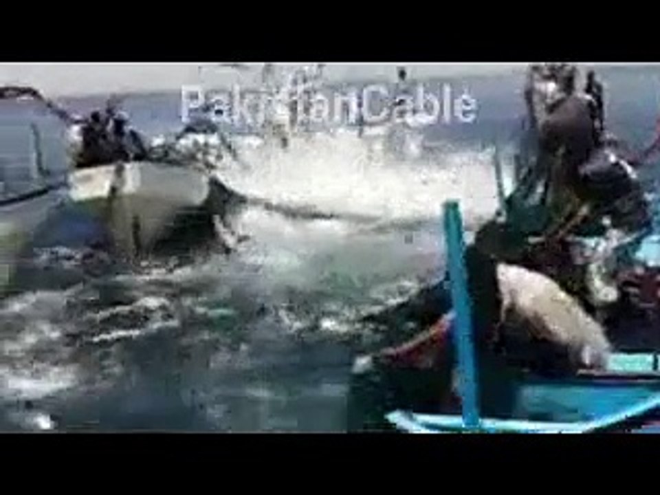 Amazing Fishing 2014 2015