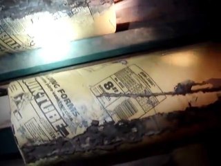 Termites Found in Crawlspace by a Home Inspector Atlanta