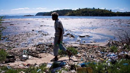 JJOO - Identificada una potente bacteria muy resistente en las bahías de Rio