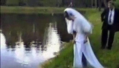 Un mariée s'approche trop près d'un cygne