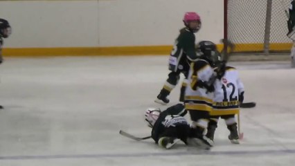 Download Video: Un adversaire très fairplay relève son adversaire au sol! Hockey sur glace, un sport violent?!