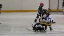 Un adversaire très fairplay relève son adversaire au sol! Hockey sur glace, un sport violent?!