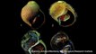 Deep Sea Snail Species Named After Singer Joe Strummer