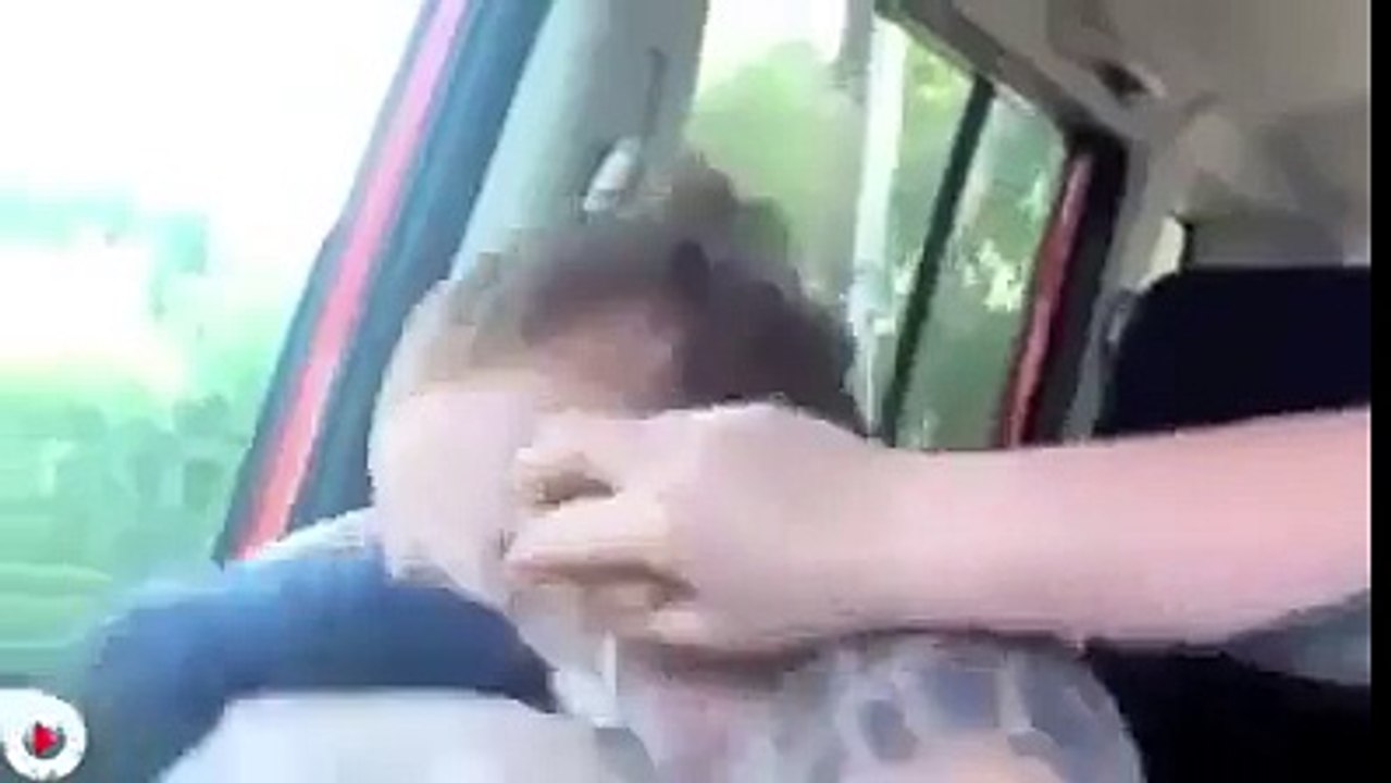 funny clip