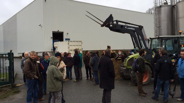 Agriculture. Ils manifestent contre l'obligation de pucer électroniquement
