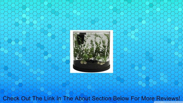 Tetra Bubbling Led Half Moon Kit - 3 Gallon Review