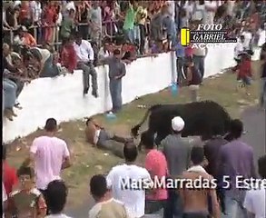 Bakra Eid In MEXICO Must Watch Boom Boom