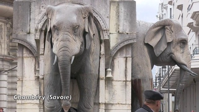 Les 4 sans culs torturés : Halte aux violences animales