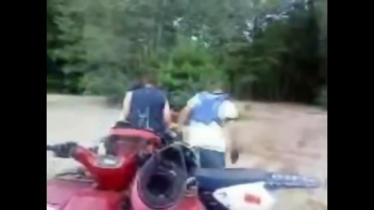 Caballitos que terminaron mal