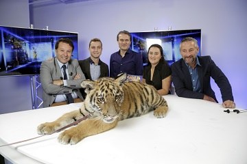 Le best of du 18:18 : un tigre en visite à La Provence