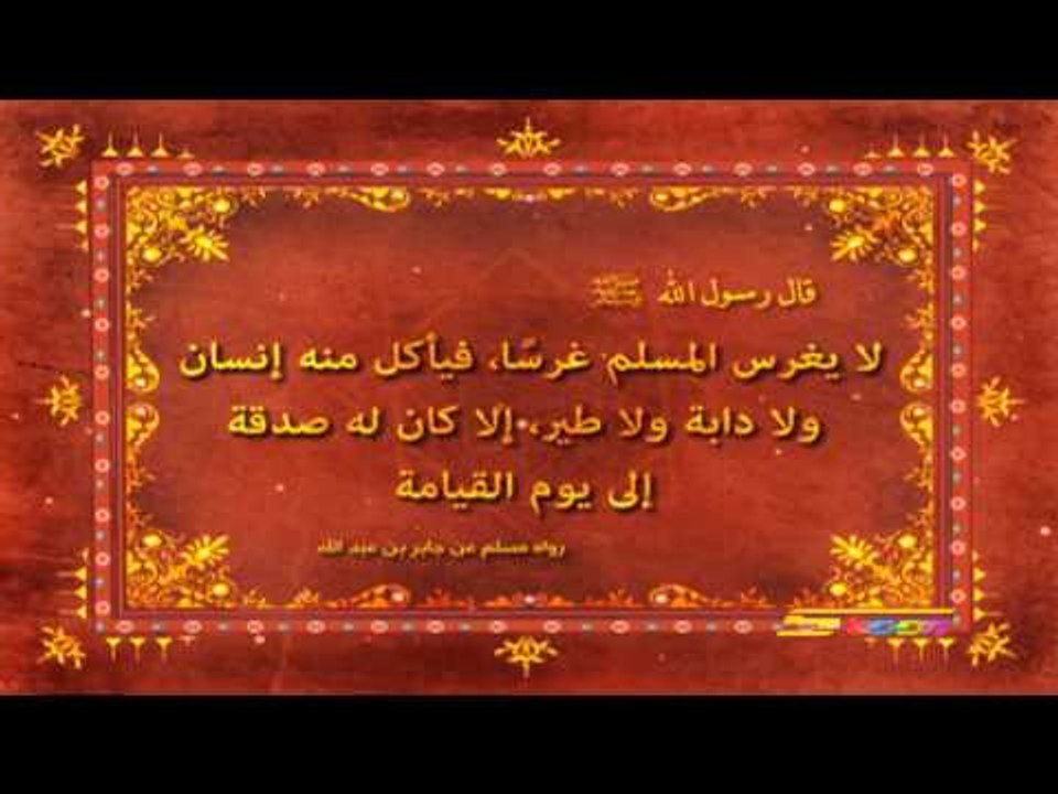 أحاديث نبوية (العمل والصدقة) - سبيس تون - Spacetoon