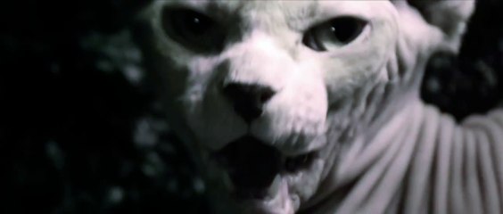 Book of Eli TV Spot 2