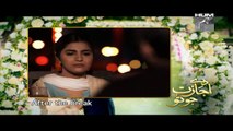 Daay Ijazat Jo Tu Episode 19 Full 17 December 2014 Video Part Full