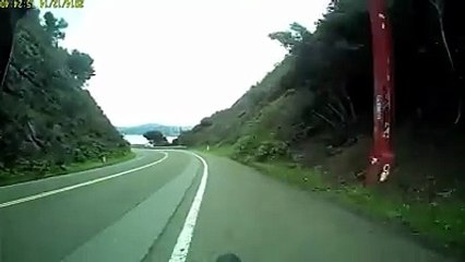 Ce truc qui sort de nulle part !