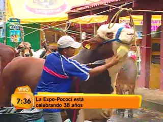 Expo-Pococí está celebrando 38 años