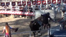 Jaripeo Rodeo West Toros Salvajes Tirando A Valientes Jinetes Espuela Libre Y Presal De 1 Hilo Espectaculo Show Familiar 2014