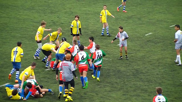 1.1 arlequins-petite camargue