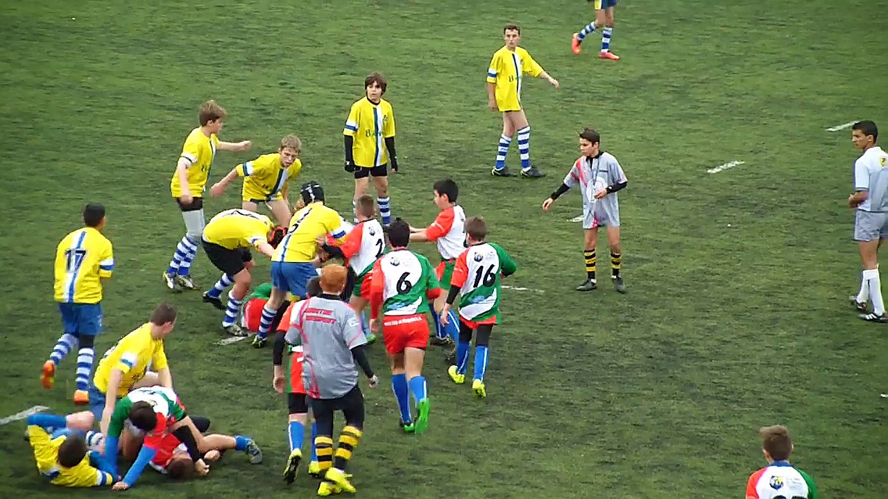 1.1 arlequins-petite camargue