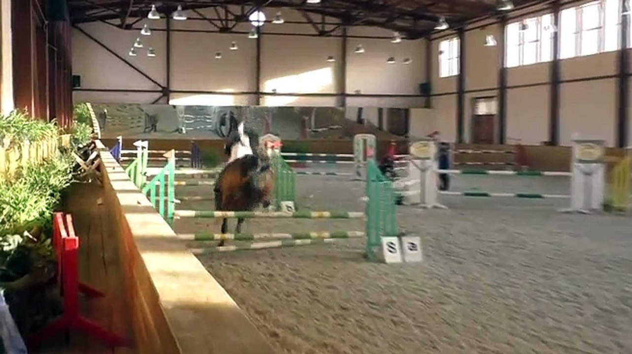 Un cheval fait du saut d'obstacles en solo après avoir largué sa cavalière