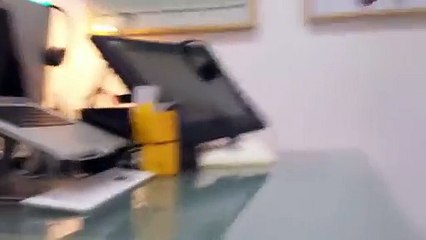 Birdbox Christmas Card Unveiled (Video) - Daily Picks and Flicks