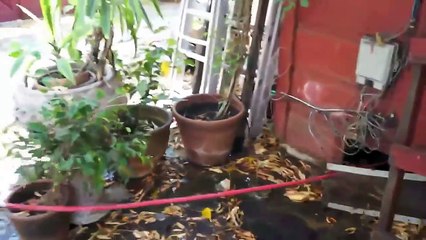 Looking for plumbers in Los Angeles ?