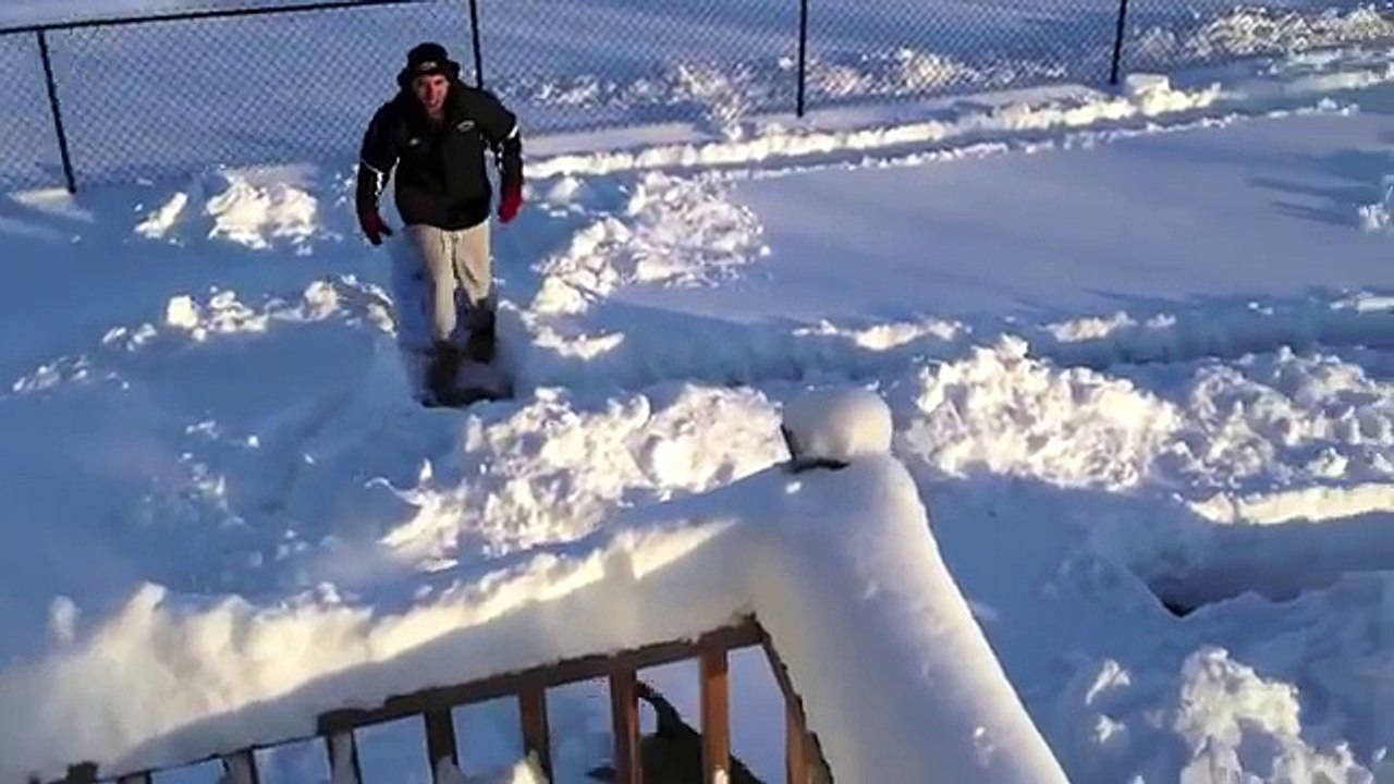 Dog in Snow Maze
