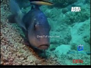 The Most Extreme (Season 5) 17th December 2014 Video Watch pt2