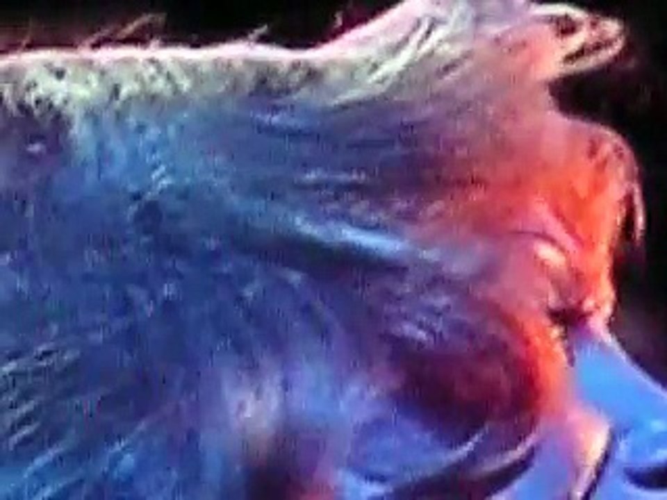 George Baker Selection_Paloma Blanca (1975)