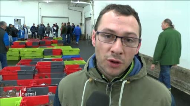 Pêche : Les conséquences d’une baisse des quotas