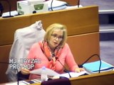 Région IDF _ Groupe PRG-MdP : intervention de Marie-José Cayzac - Budget 2015 Annexe Logement