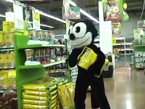 Cat (Rémi GAILLARD) BY place 2 Hina khan