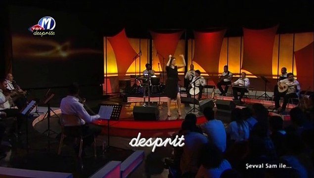 06 şevval sam elveda meyhaneci 07.06.2012 şevval sam ile